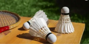 Bí Quyết Thắng Lớn Cá Cược Cầu Lông New88 Siêu Hiệu Quả 3 Bí Quyết Thắng Lớn Cá Cược Cầu Lông New88 Siêu Hiệu Quả