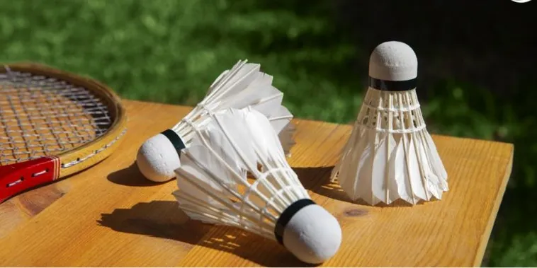 Bí Quyết Thắng Lớn Cá Cược Cầu Lông New88 Siêu Hiệu Quả 1 Bí Quyết Thắng Lớn Cá Cược Cầu Lông New88 Siêu Hiệu Quả